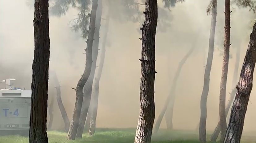 Antalyalılar Çok Korktu! Konyaaltı Hayatpark Yangını Kontrol Altına Alındı