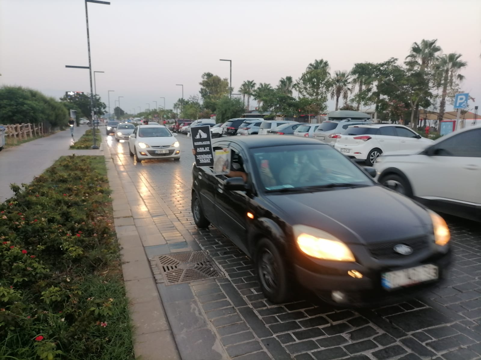 Antalya Da Hayvan Yasası Protestoları Devam Ediyor