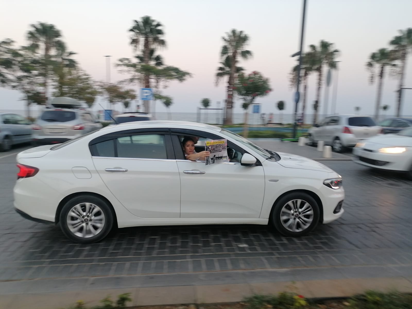 Antalya Da Hayvan Yasası Protestoları Devam Ediyor