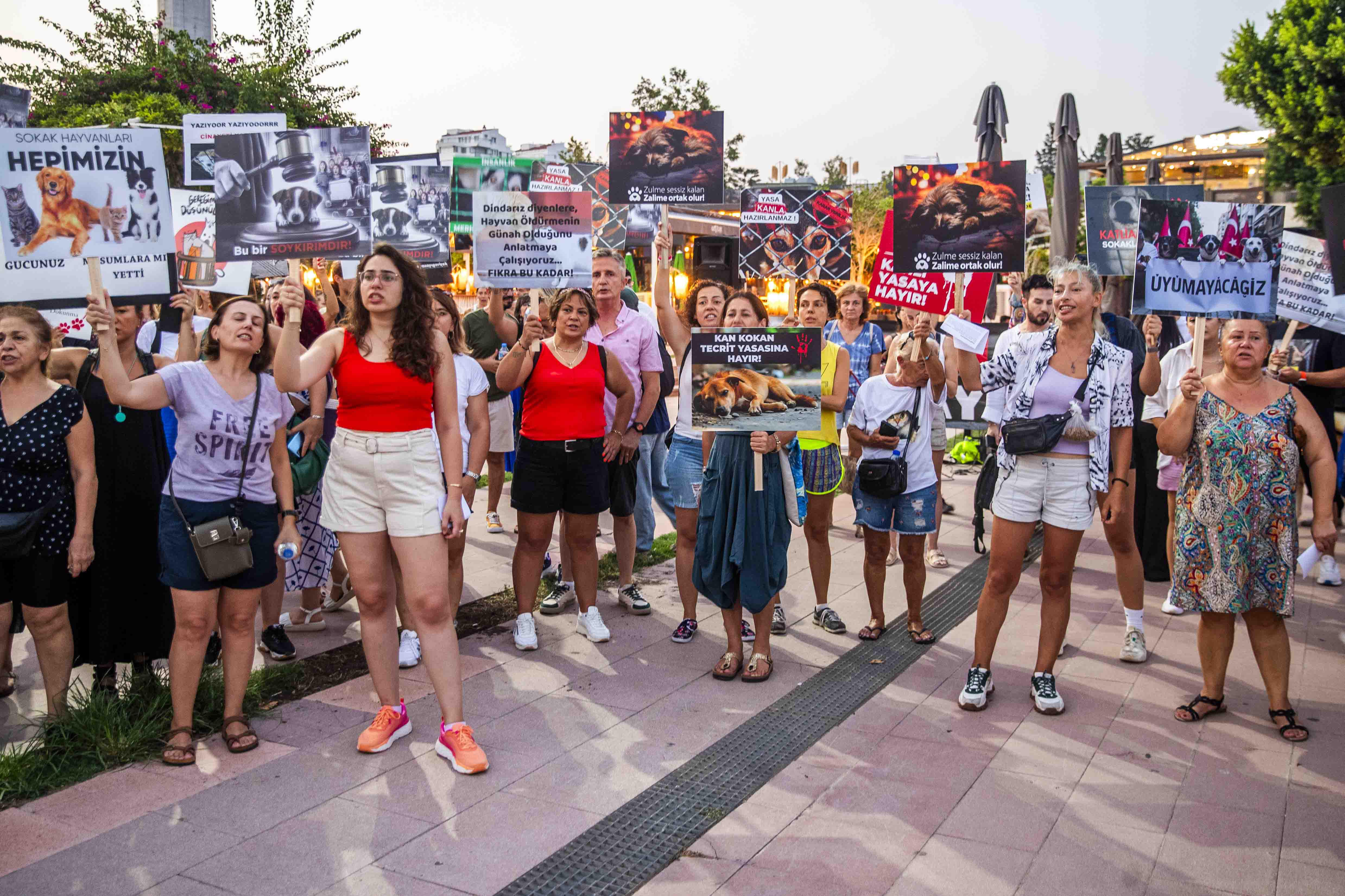 Antalya Da Hayvan Yasası Protestoları Devam Ediyor