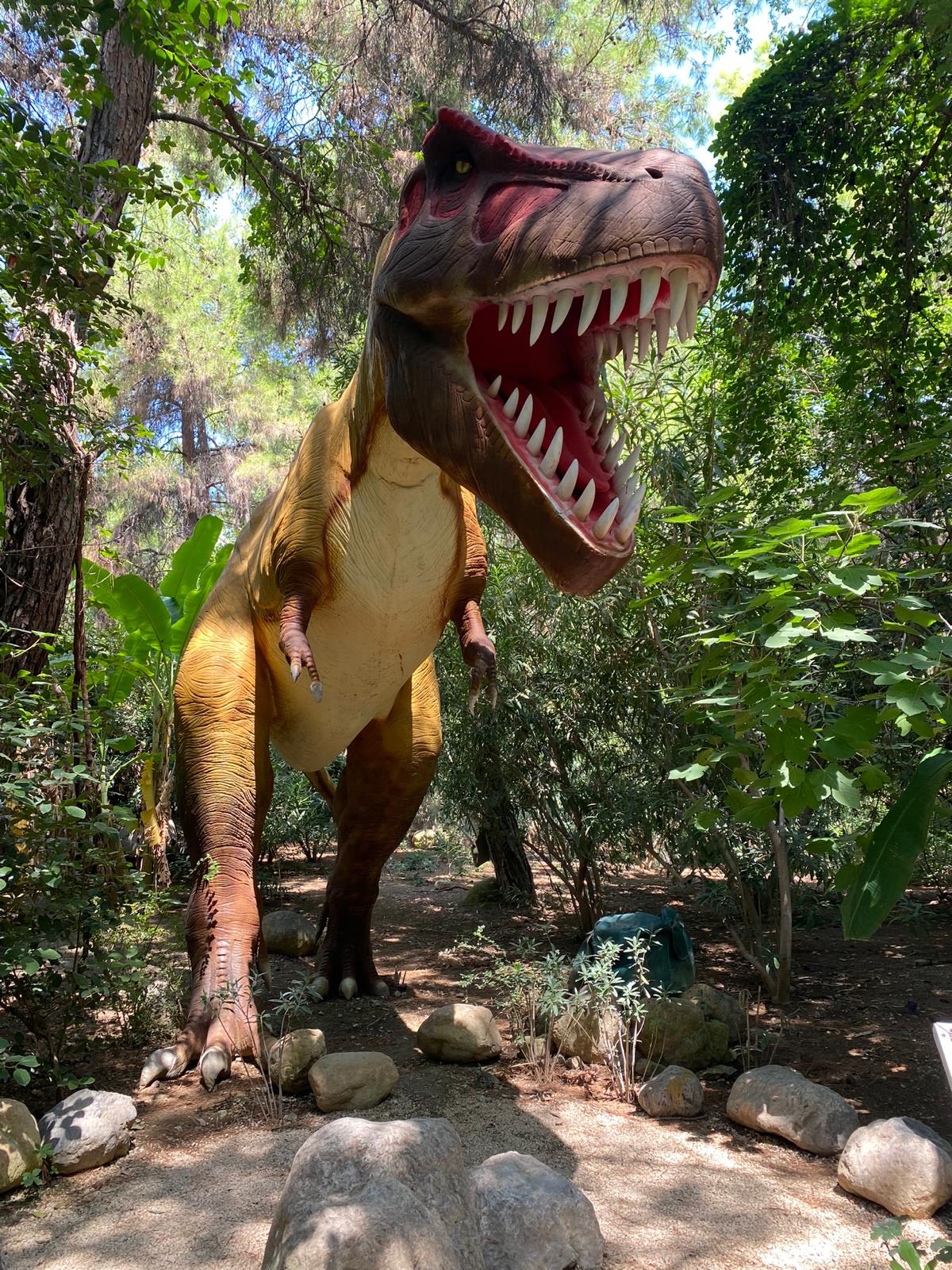 Çocuklardan Unutulmaz Dinopark Macerası