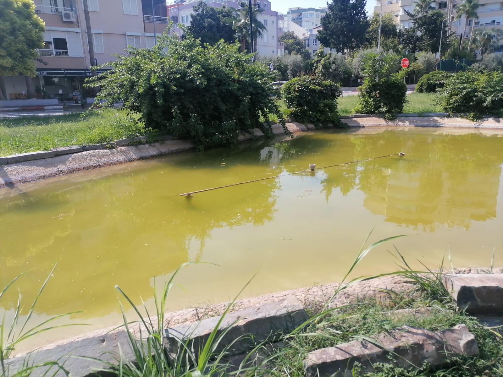 Özgür Dinçer Parkı bakımsız kaldı
