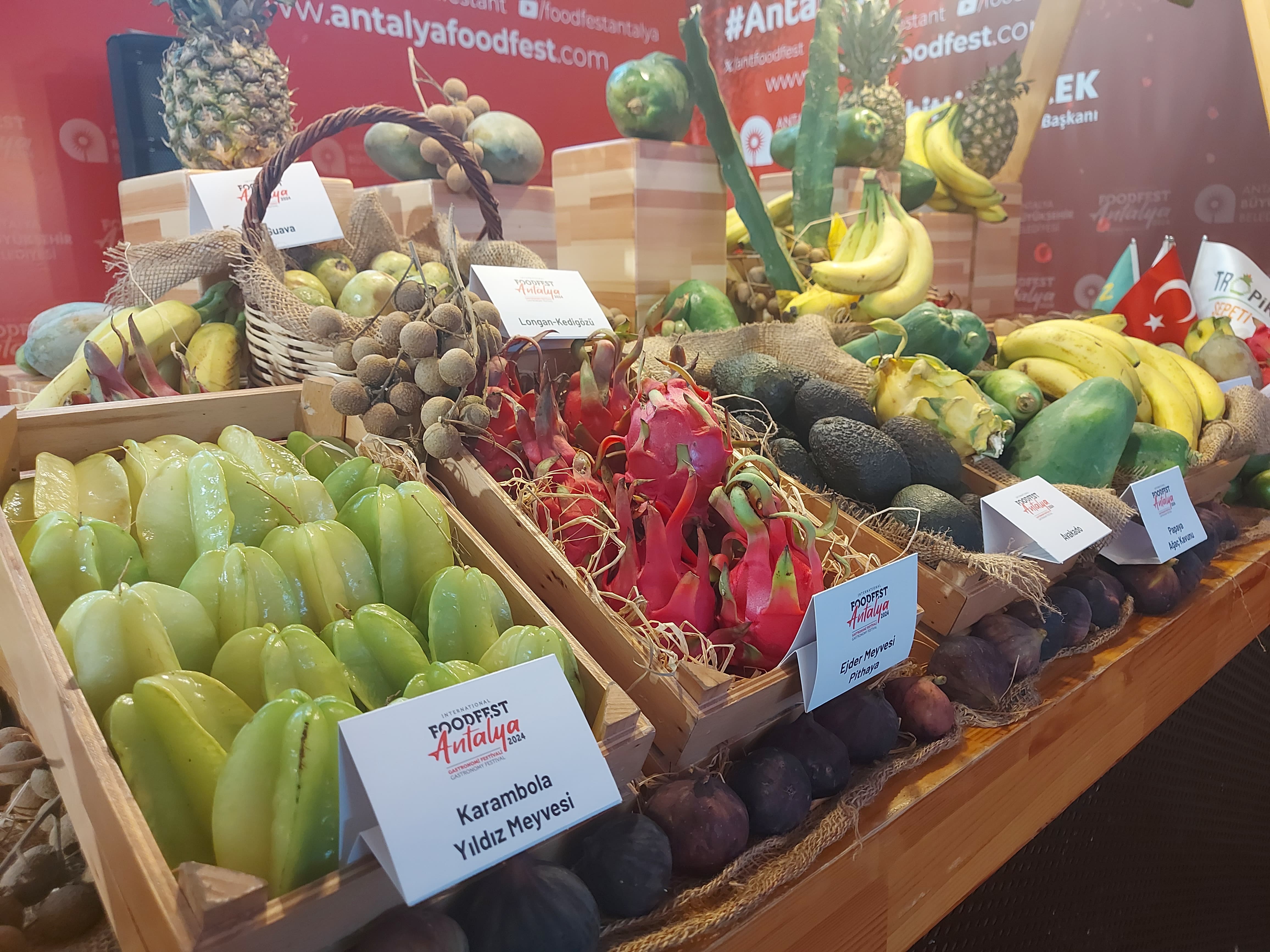 Food Fest Antalya Gastronomi Festivali’nin Mottosu ‘Gelecek Antalya’