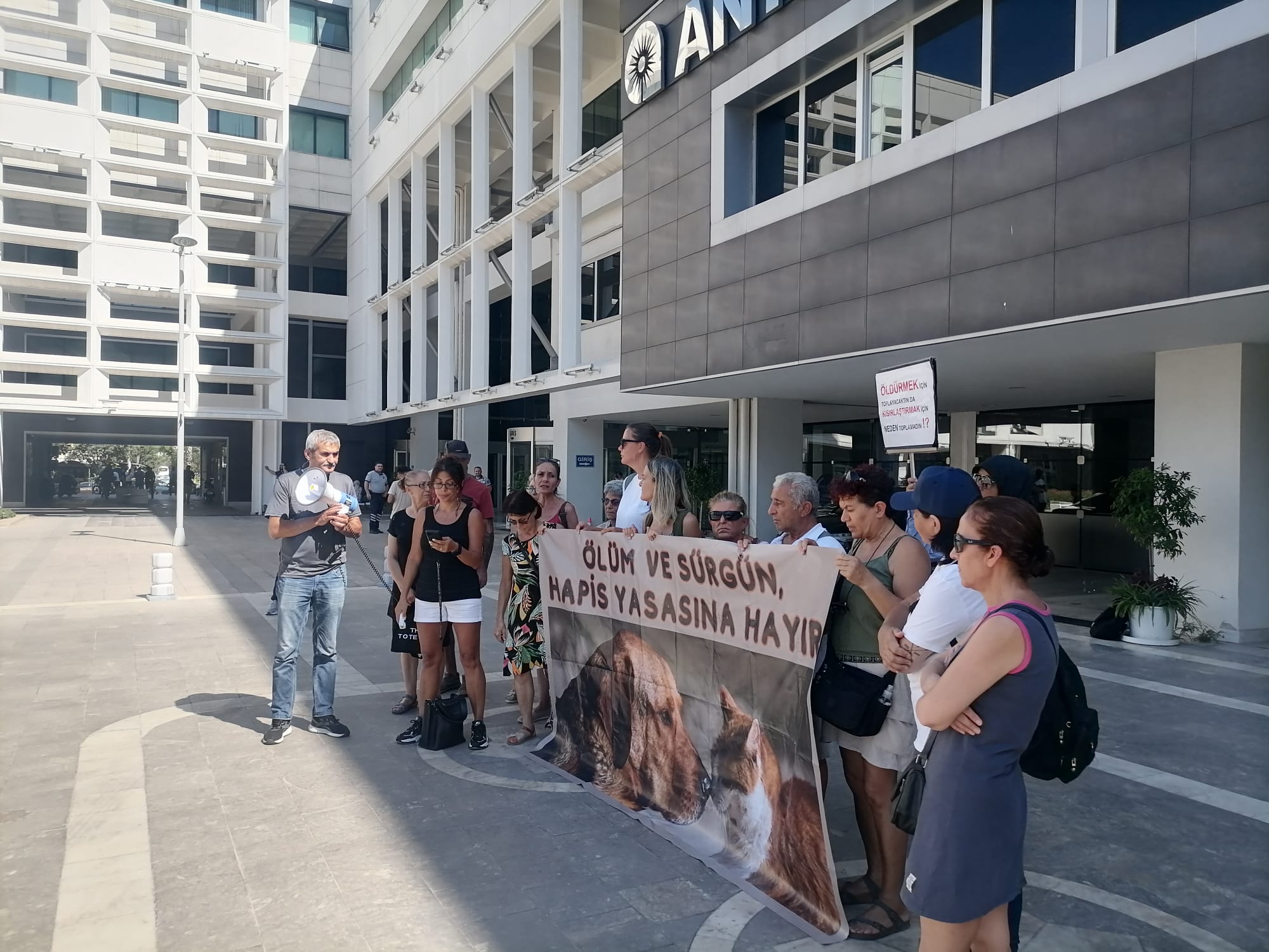 Antalya Büyükşehir Belediyesi’nin Hayvan Yasasını Uygulamaya Koydu İddiası