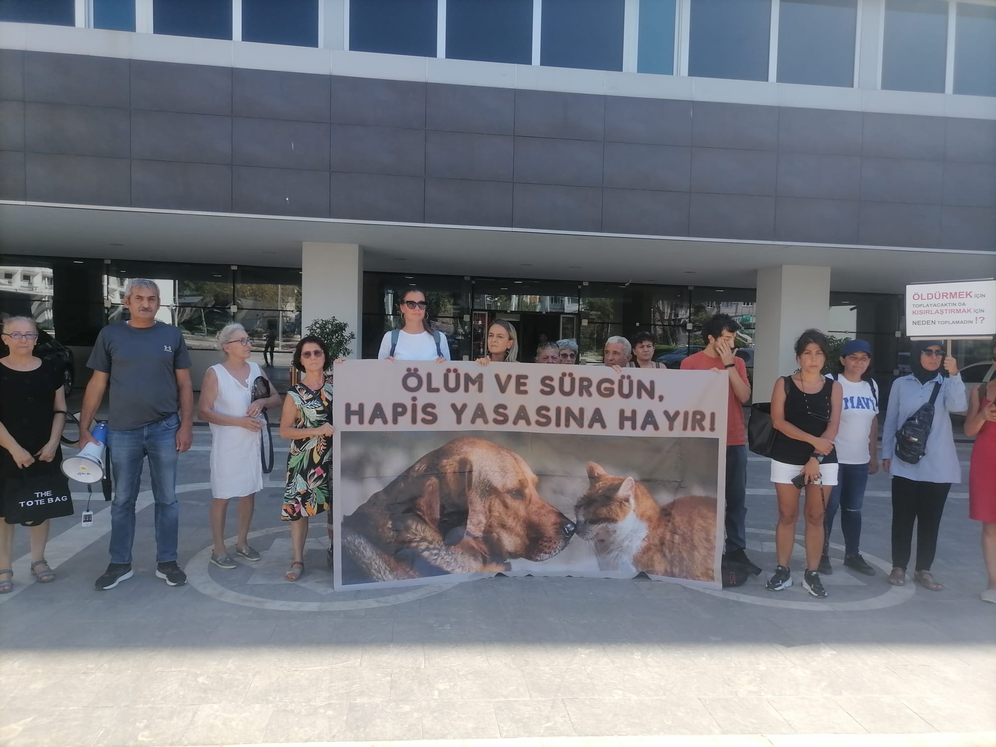 Antalya Büyükşehir Belediyesi’nin Hayvan Yasasını Uygulamaya Koydu İddiası