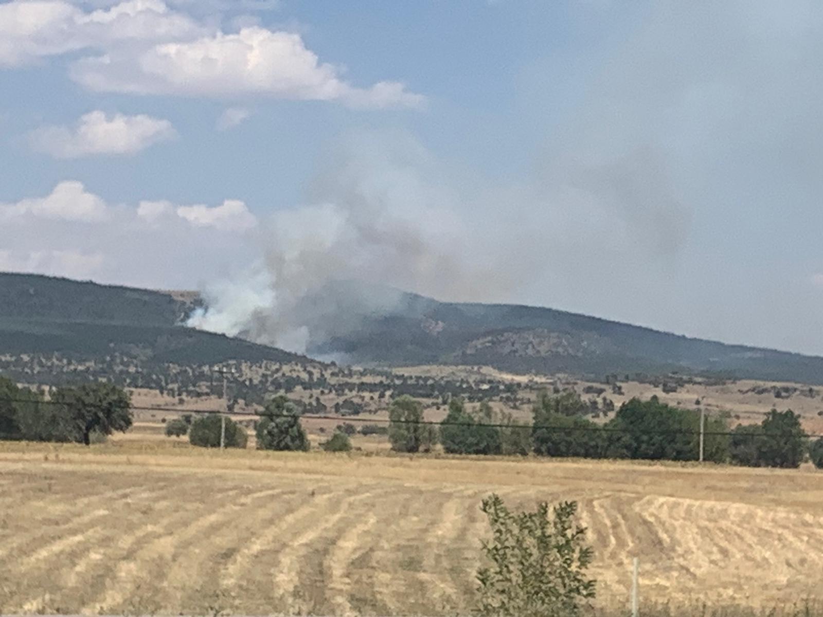 Nuh Köyü’nde orman yangını başladı