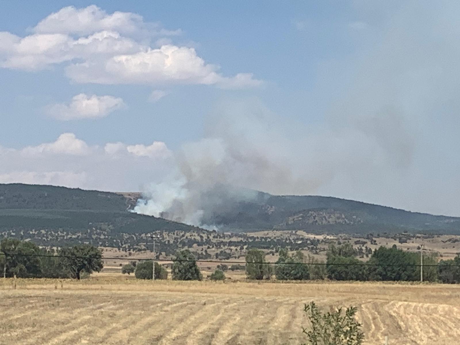 Nuh Köyü’nde orman yangını başladı