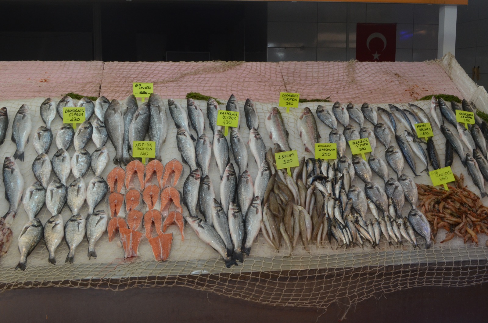 Av Yasağı 1 Eylül'de Kalkıyor: Balık Fiyatlarında Düşüş Bekleniyor