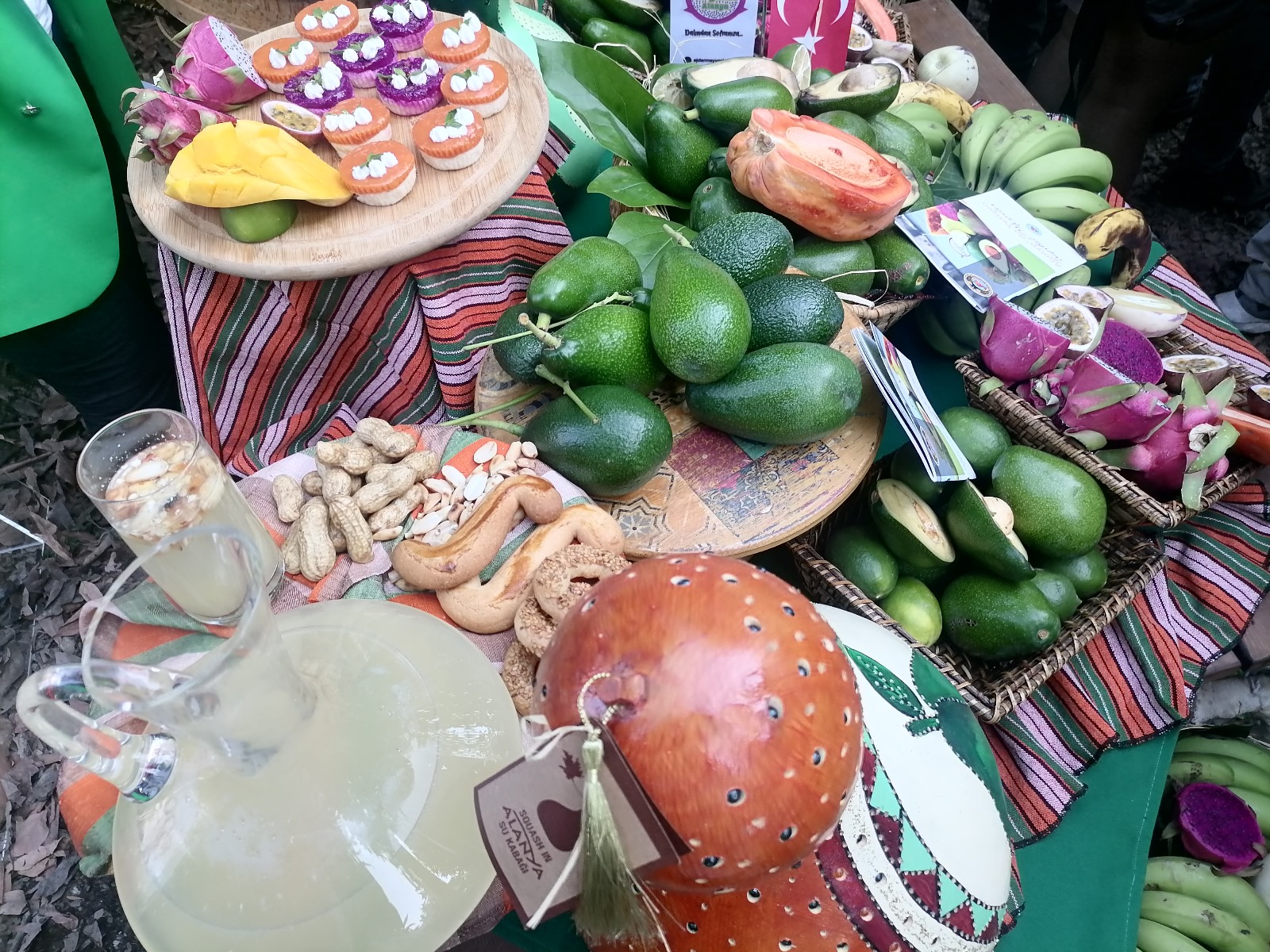 Foodfest Kapsamında İlk Avokado ve Mango Hasadı Gerçekleşti