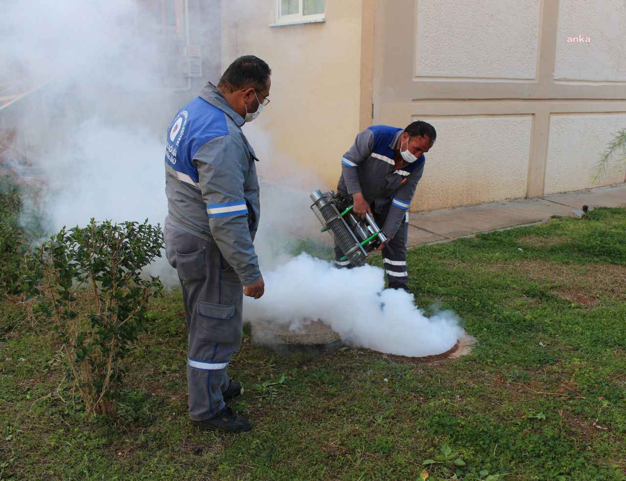 Antalya Kepez ilçesinde sivrisinek sorunu etkili çalışmalarla azalıyor