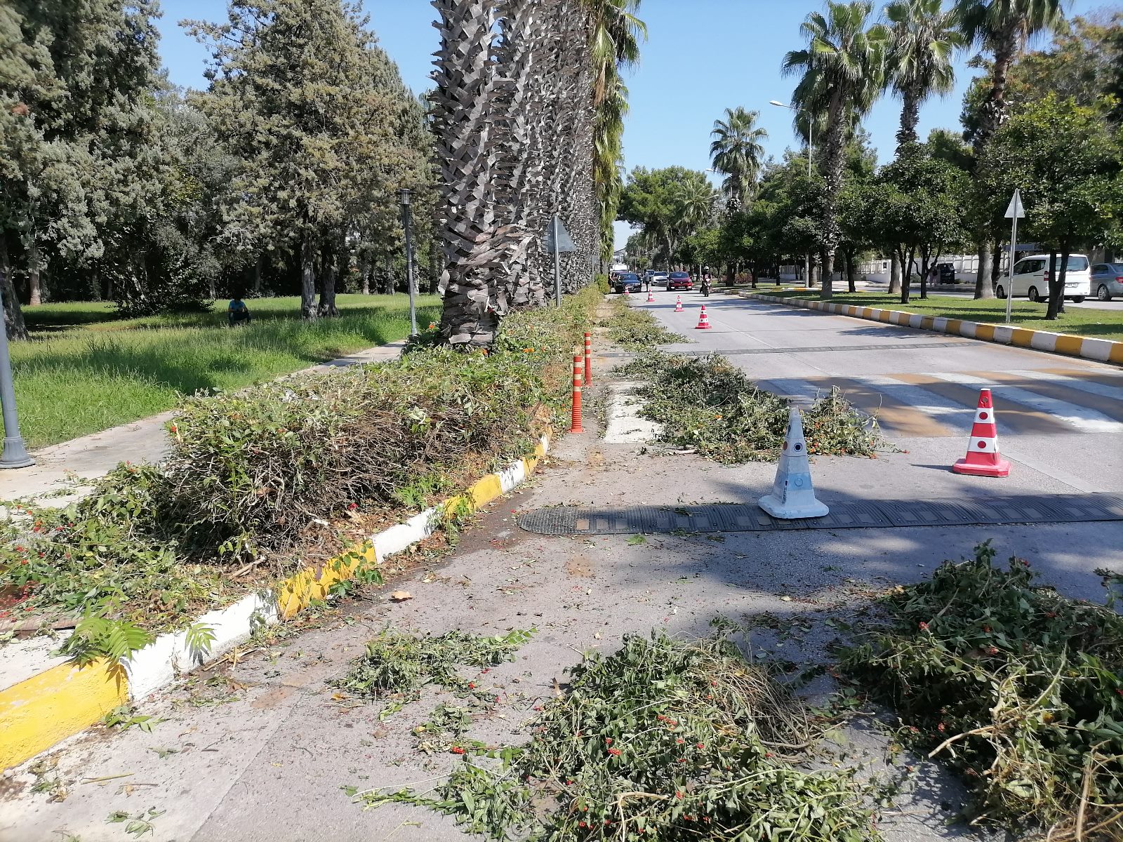 Akdeniz Üniversitesi Çevresinde Yoğun Hazırlıklar