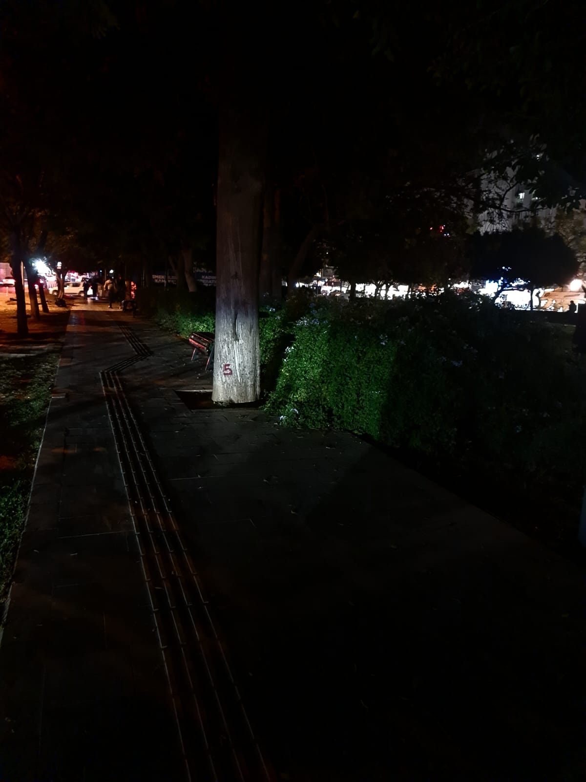 Parkın Işıkları Yanmıyor, Esnaf Şikayetçi 