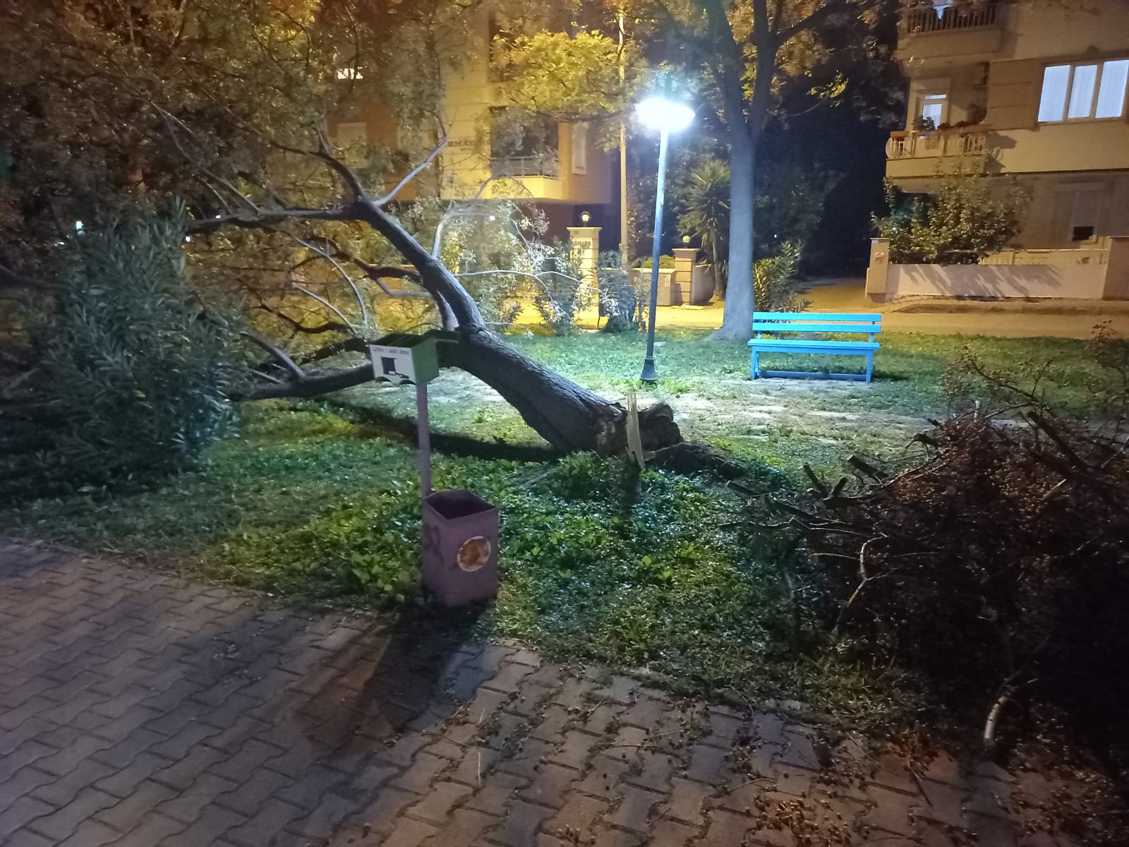 Lara’da Rüzgar Ağaçları Kökledi