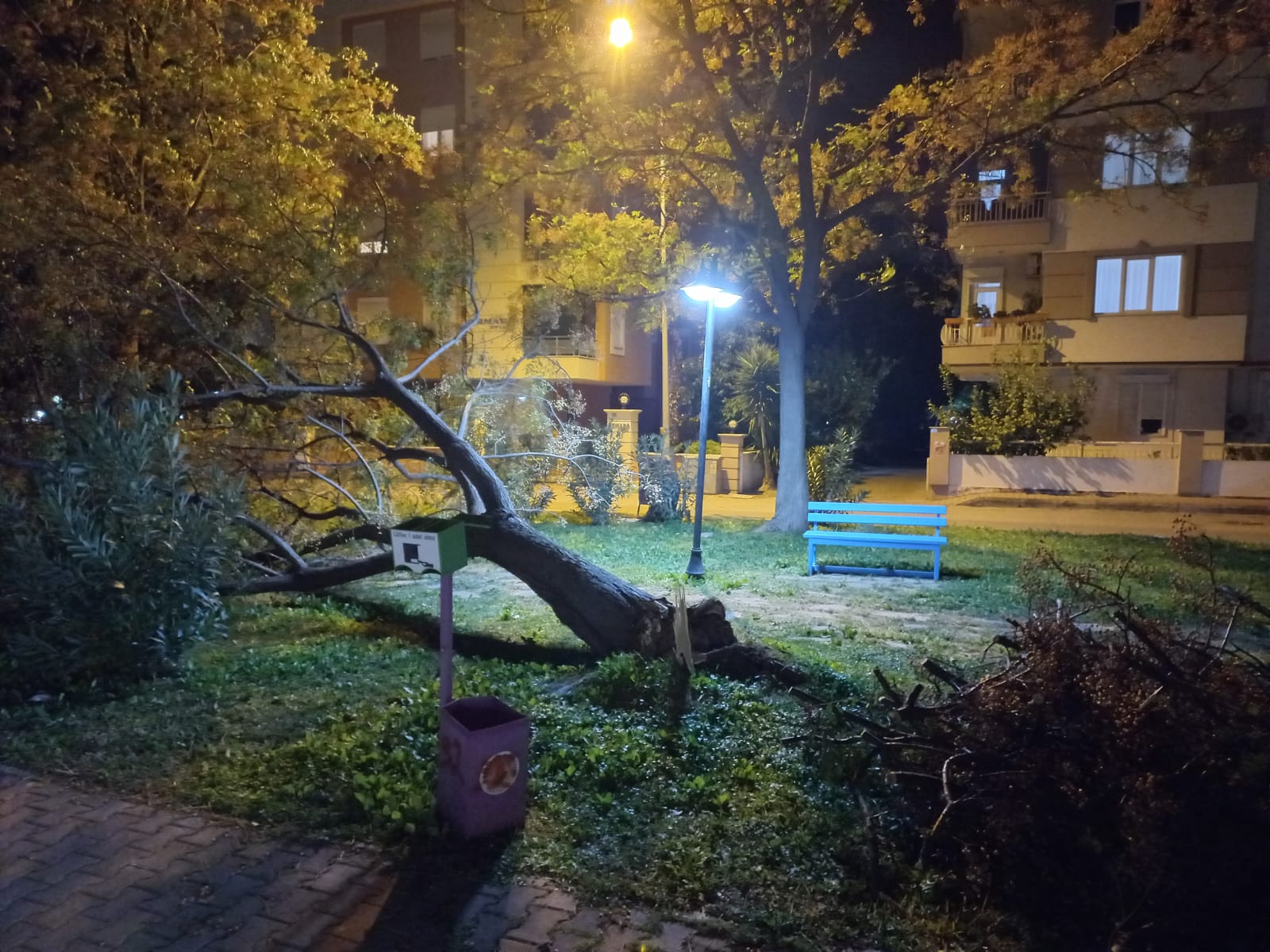 Lara’da Rüzgar Ağaçları Kökledi