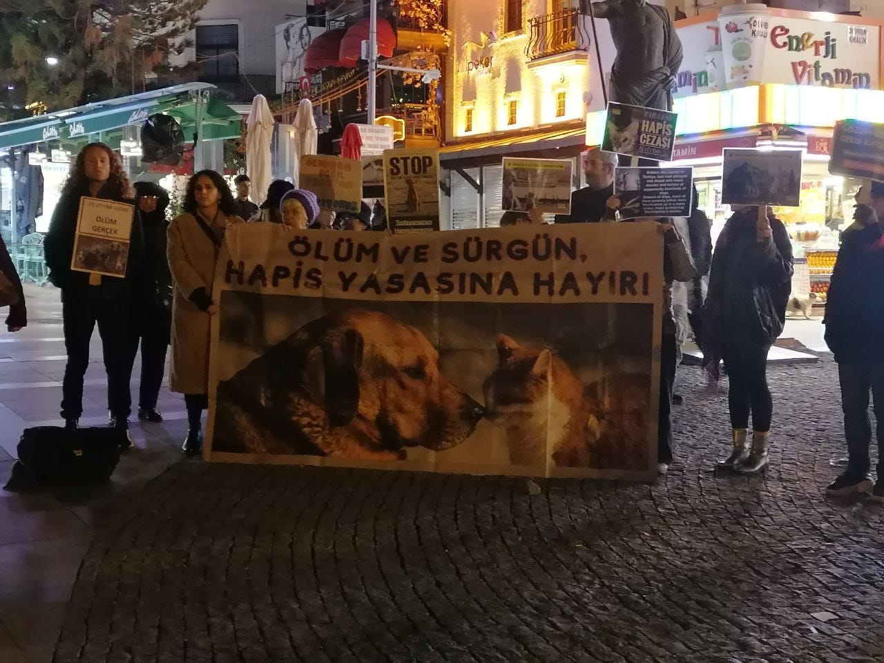 Antalya'da Hayvanseverler "Hayvan Katliam Yasasını" Protesto Etti