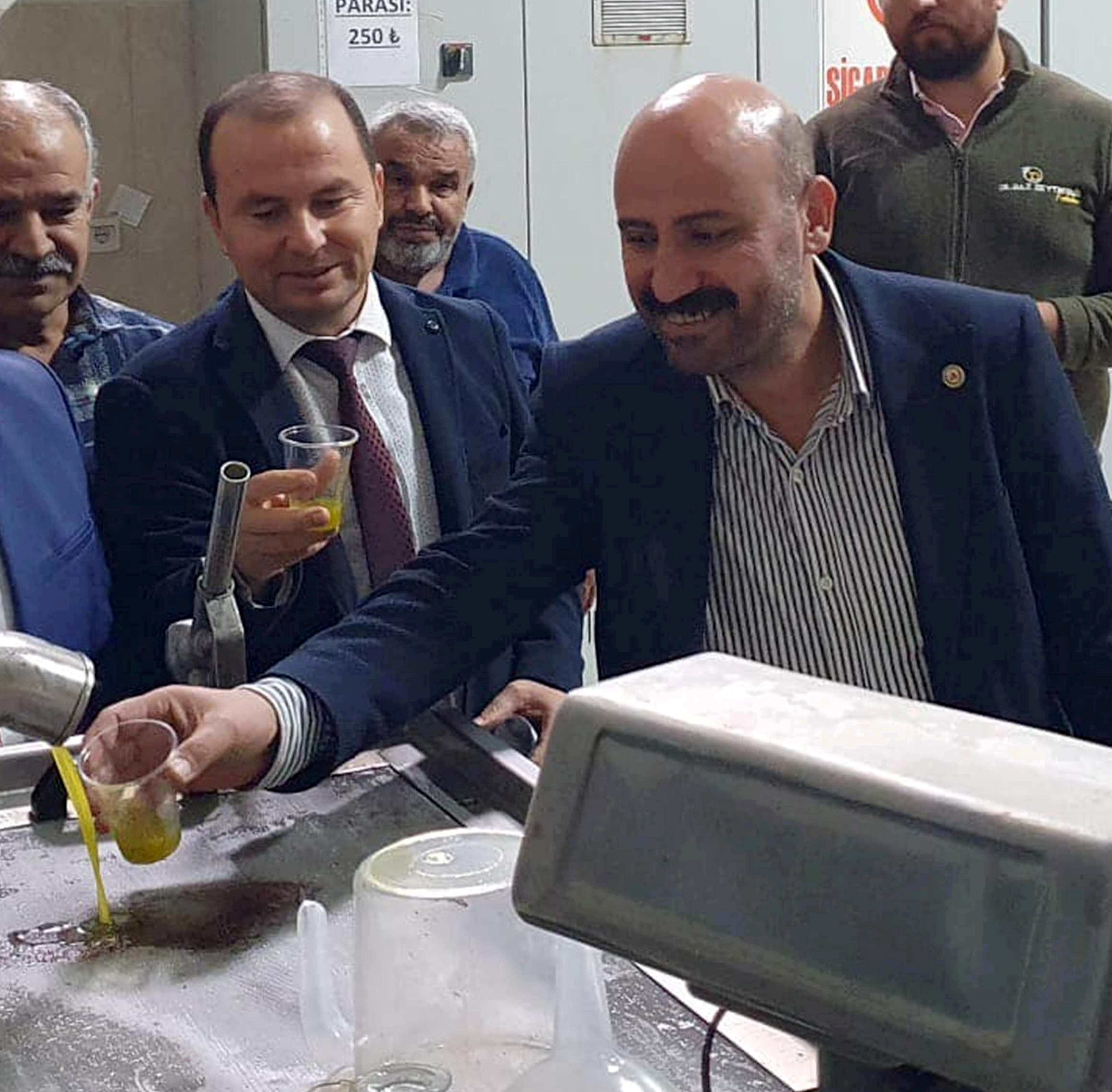 Zeytin Üretimi Arttı Mı! Zeytinyağı Fiyatları Ne Kadar