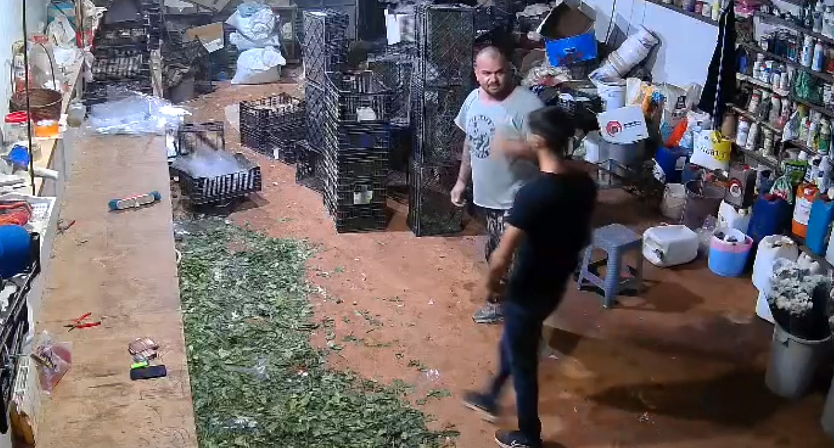 Tek Yumrukla Cinayet