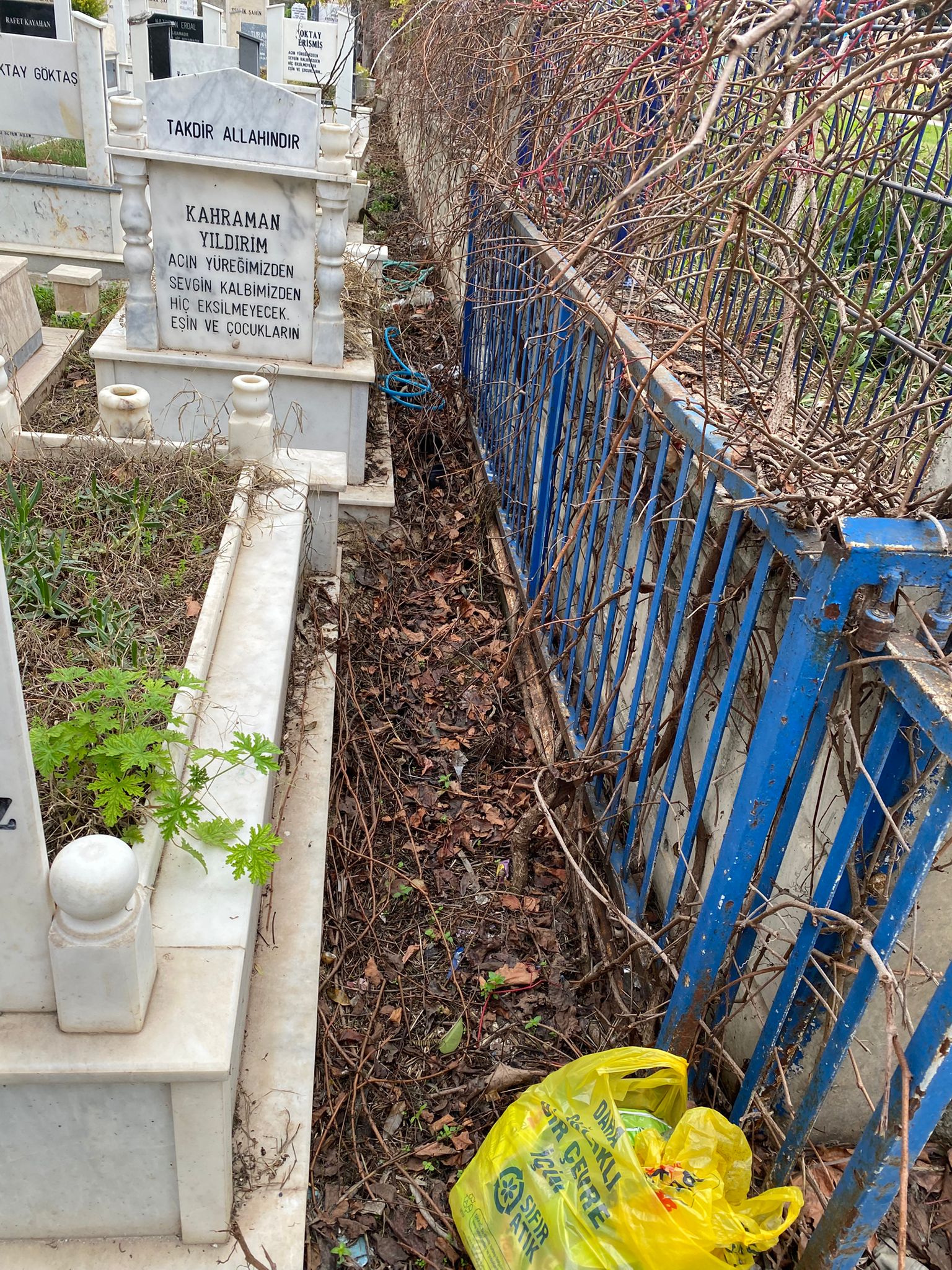 Vatandaşların İstekleri Var
