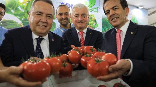 Antalya'da 2024 Yılında Gerçekleşen Olaylar
