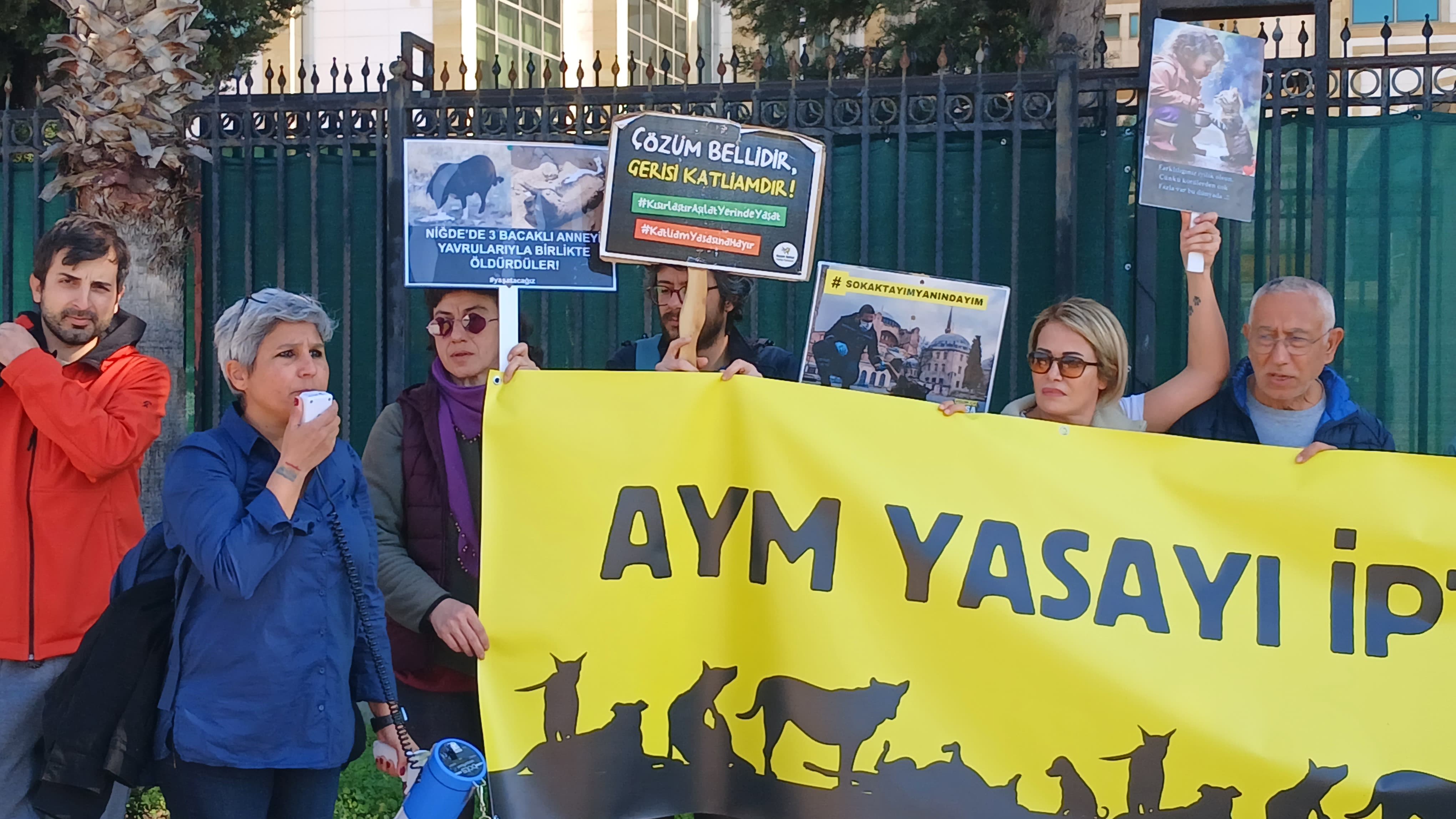 Sokak Hayvanları İçin Yaşam Hakkı İstediler