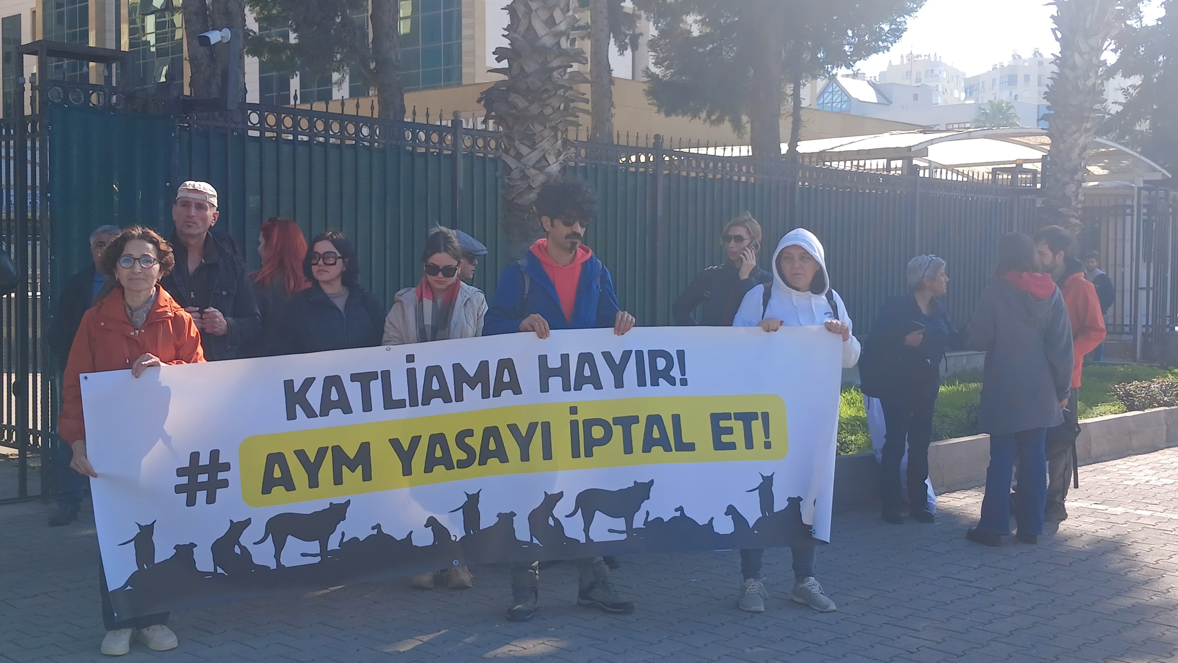 Sokak Hayvanları İçin Yaşam Hakkı İstediler
