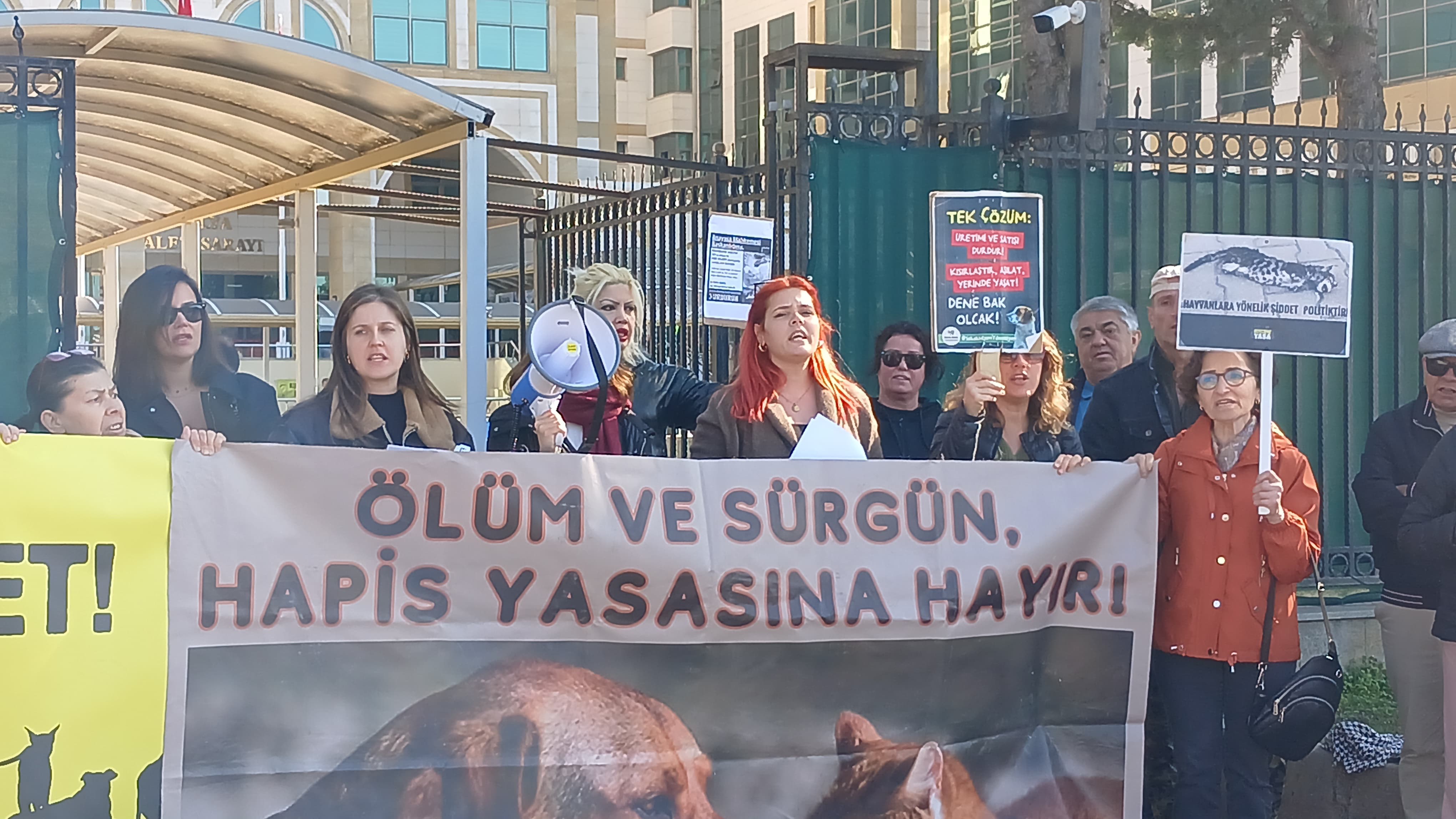 Sokak Hayvanları İçin Yaşam Hakkı İstediler