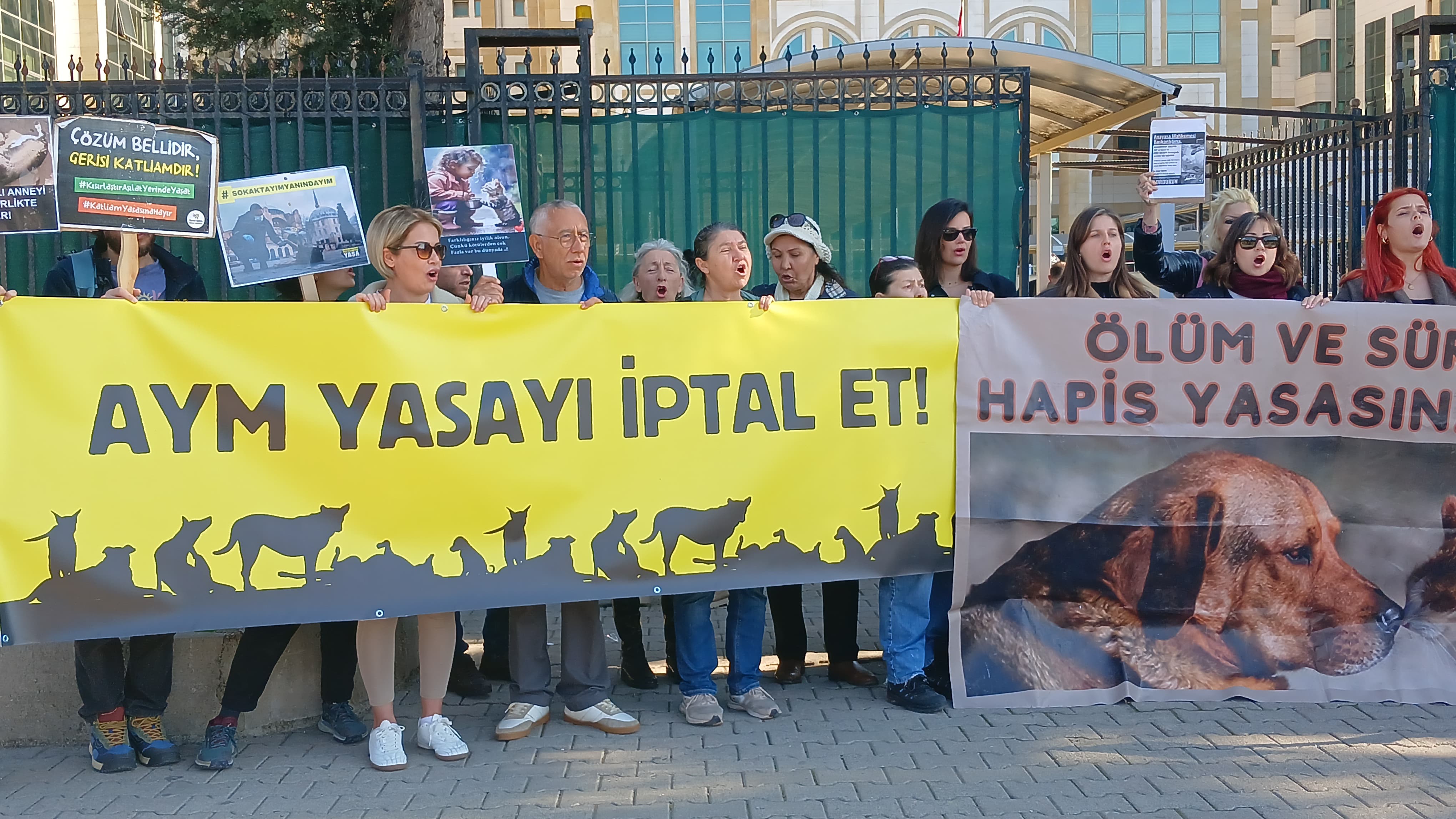Sokak Hayvanları İçin Yaşam Hakkı İstediler