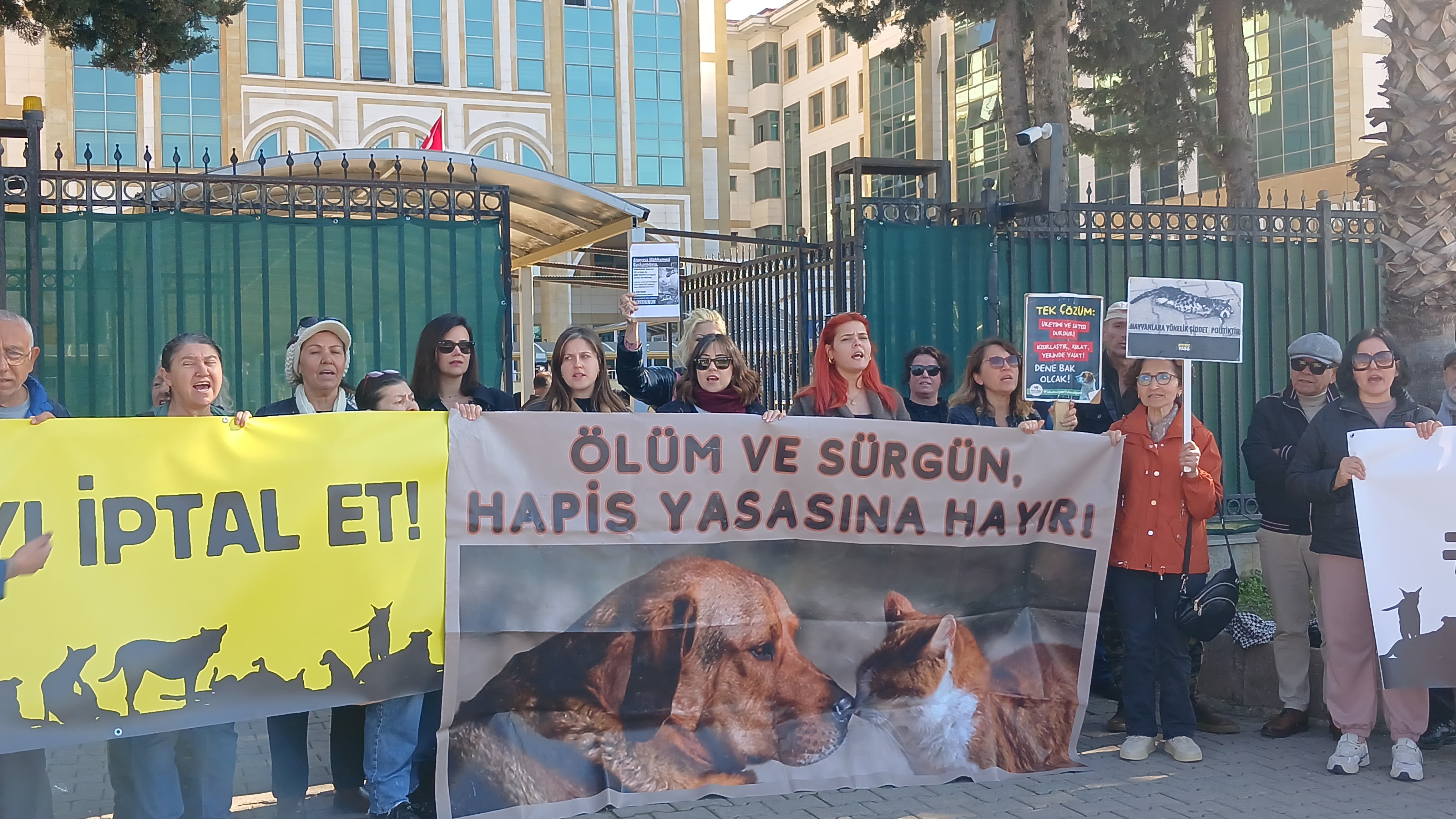 Sokak Hayvanları İçin Yaşam Hakkı İstediler