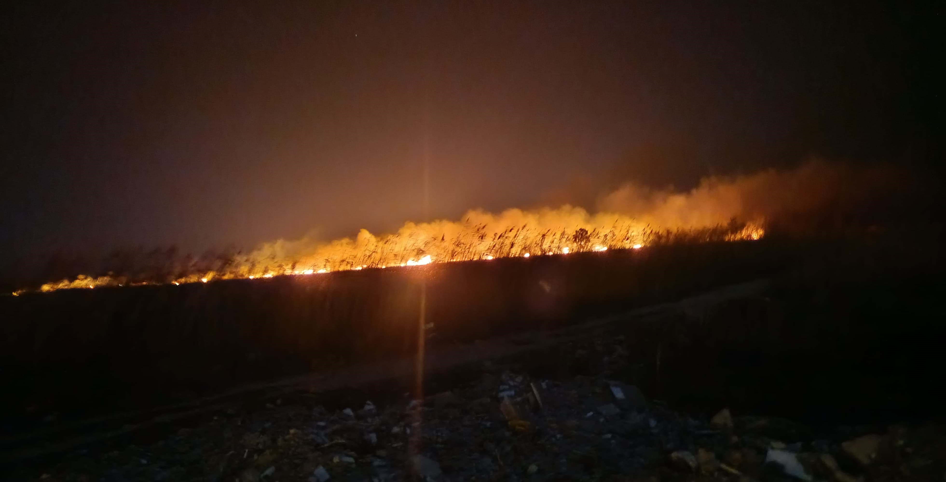 Kuş Cenneti Cehenneme Döndü, Bin Dönümlük Alan Yandı