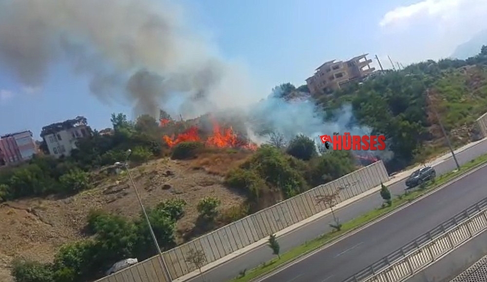 Alanya'da çıkan yangın yerleşim yerlerin sıçramadan söndürüldü