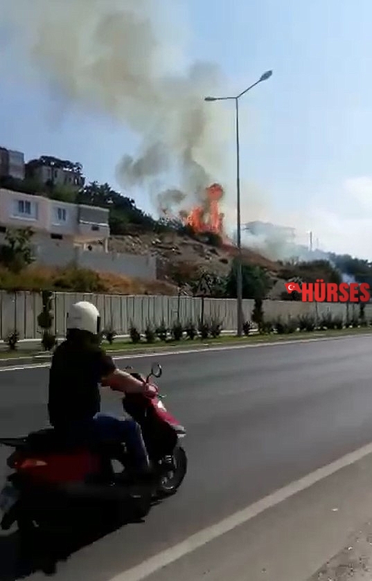 Alanya'da çıkan yangın yerleşim yerlerin sıçramadan söndürüldü