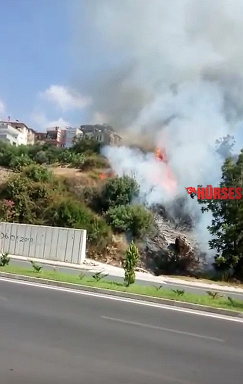 Alanya'da çıkan yangın yerleşim yerlerin sıçramadan söndürüldü