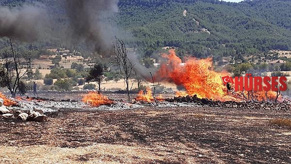 Arazide başlayan yangın eve sıçradı
