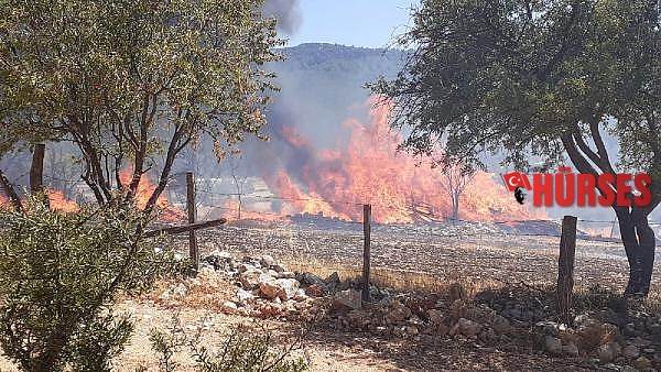 Arazide başlayan yangın eve sıçradı