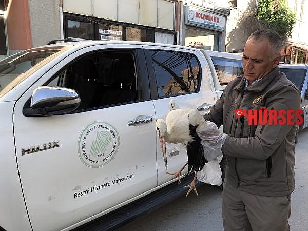 Bacakları kırık leylek tedaviye alındı  