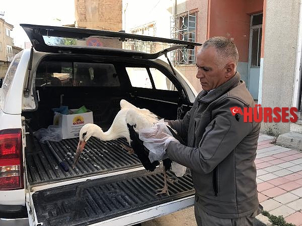 Bacakları kırık leylek tedaviye alındı  