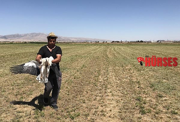 Bacakları kırık leylek tedaviye alındı  
