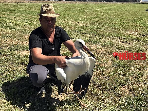 Bacakları kırık leylek tedaviye alındı  