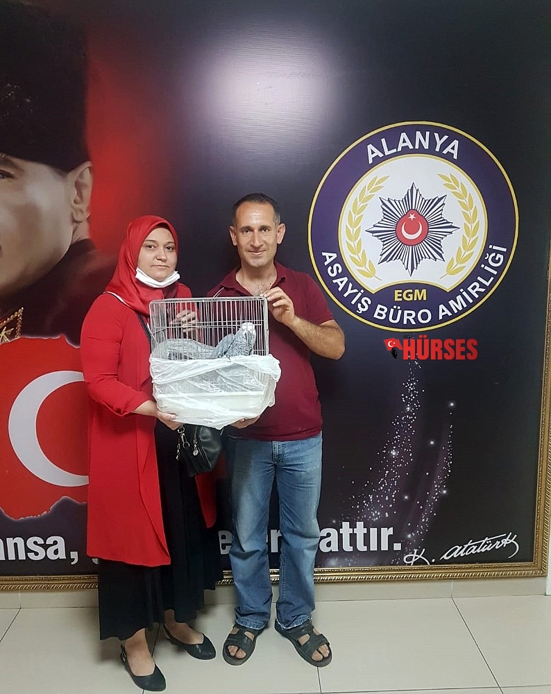 Çalınan ödüllü papağanı polis buldu