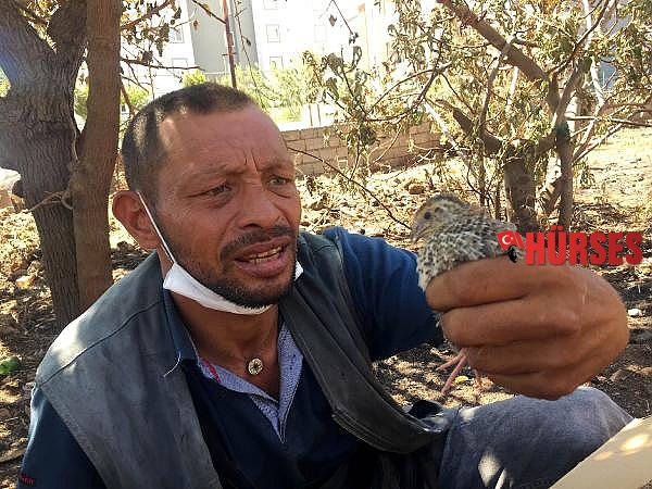 Gecekondu yangınında ölen bıldırcınlarına ağlarken, yenileri hediye edildi