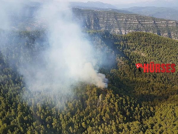 Manavgat'taki orman yangınında 1 hektar alan zarar gördü