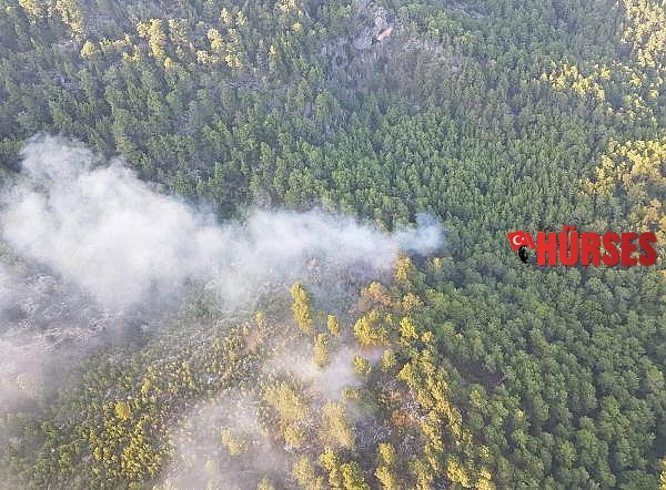 Manavgat'taki orman yangınında 1 hektar alan zarar gördü