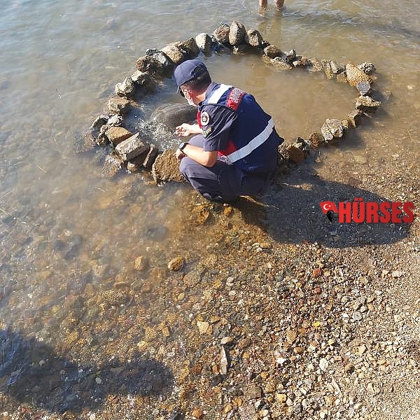 Misinaya dolanan deniz kaplumbağası ölmek üzereyken kurtarıldı