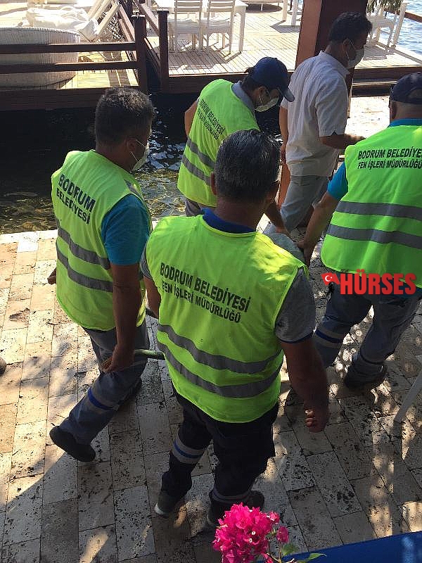 Süs eşyası olarak kullanılıyordu bakın ne çıktı...