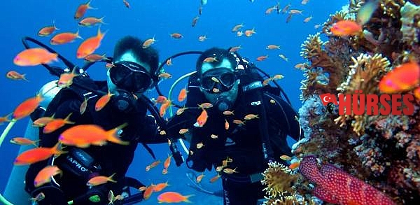 Turistler, Antalya'nın su altı zenginliklerini keşfediyor