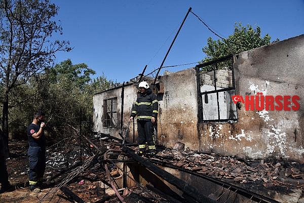 Yanan evine değil, bıldırcınlarına ağladı
