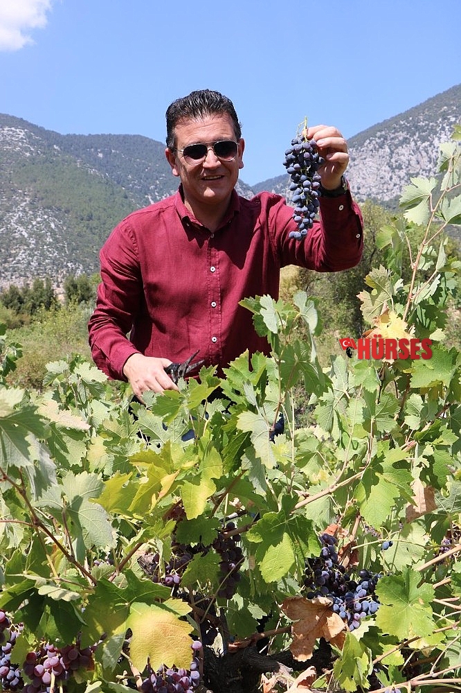 80 yıldır sadece yağmur suyuyla yetişiyor