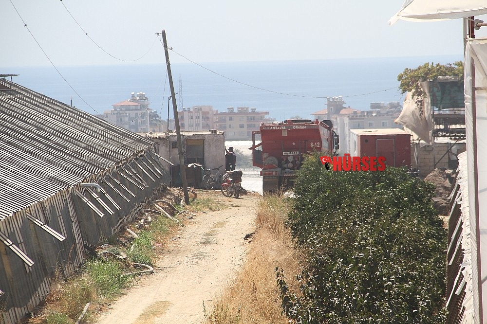 Alanya'da çalılık alanda yangın paniği