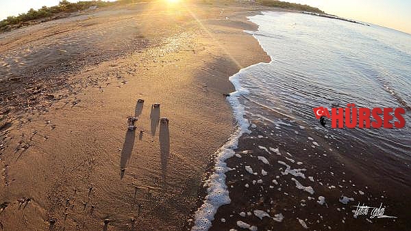 Belek kumsalında rekor: 3 bin 200 yuva, 75 bin yavru