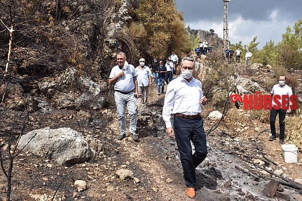 CHP'li Zeybek'ten orman yangınları önergesi